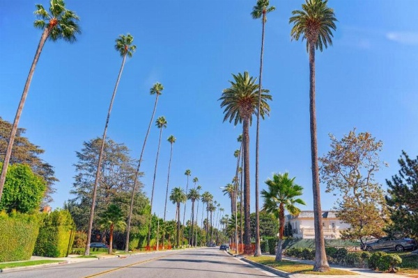 Hotel Normandie - Los Angeles image 26