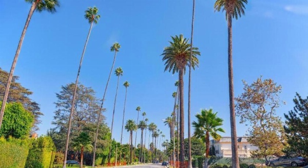 Hotel Normandie - Los Angeles image 28